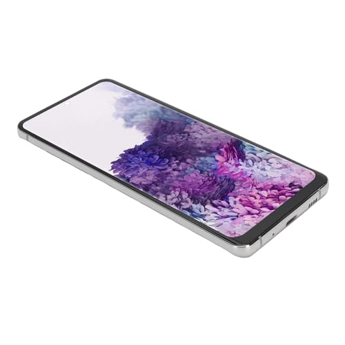 Remplacement d'écran LCD tactile ASHATA pour S20 Plus SM-G986B de 6,7 pouces avec outils, argent
