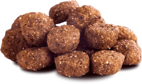 Hundefutter mit Pferdefleisch von THE GOODSTUFF