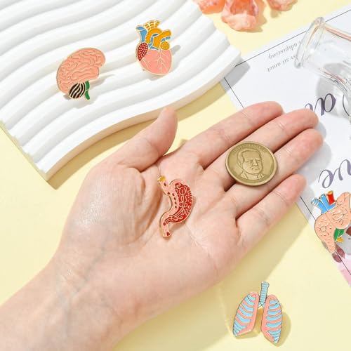 Image of Airssory 5 pcs 5 Styles Body Organ Theme Alloy Enamel Brooches Brain Lung Stomach Heart Lapel Pins for DIY Clothes Backpack Badge Jackets Craft Embellishments