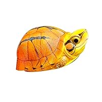 Amazon.co.jp: BACALYSO | 動物惑星 カメ 亀 ガチャガチャ