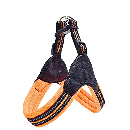 Sac de Transport Chien et Harnais Orange M Idéal pour Balades et Sorties Nocturnes en Sécurité