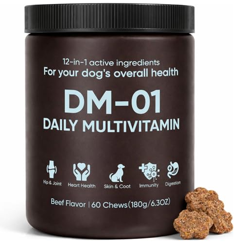 DM-01 Daily Multivitamin for Dogs Dog Daily Multivitamin for Skin & Coat Health Joint Support Digestive Health with Salmon Oil Chondroitin and Natural Vitamins Beef Flavor 60 Chews (1)