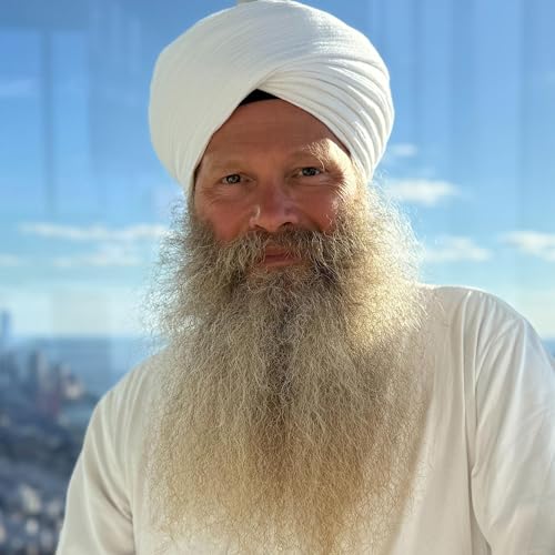 The One Flow with Jai Gopal cover art