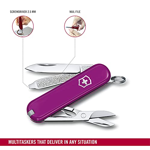 Canivete Victorinox Classic SD Colors, Tasty Grape, 7 funções