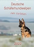 VIELFALT - Mit über 25.000 verschiedenen Kalendern bietet der CALVENDO Verlag für jeden Geschmack das richtige Produkt. Zudem sind die Kalender meist in den Formaten DIN A5, DIN A4, DIN A3 sowie DIN A2 verfügbar. Der ideale Kalender für Ihr Wohnzimmer, Schlafzimmer, Küche, Esszimmer sowie für Kinderzimmer.