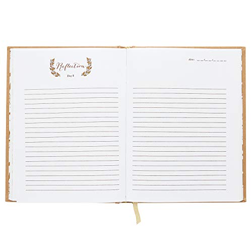 Journal de gratitude de 90 jours C.R. Gibson, carnet de note de 224 pages