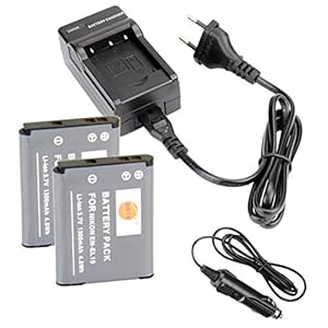 DSTE 2pcs N-EL19 ENEL19 Batterie et DC109E Voyage Chargeur Compatible pour Nikon Coolpix S100 S2600 S2700 S2750 S3100 S3200 S3300 S3400 S3500 S4100 S4200 S4300 S4400 S5200 S6400 S6500 S6600