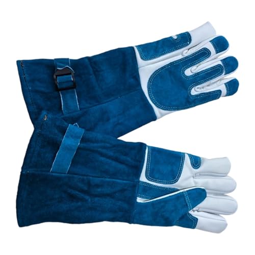 a 戵p ϔM~g ybgp L p ݂h~ O[~O wr K[fjO , fB[vu[zCg