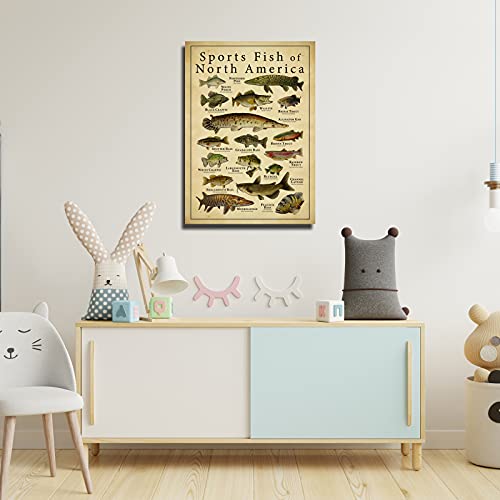 Sports Fish Of North America Knowledge Wall Decor Vintage Art Canvas Painting Modern Picture Artworks Gift For Living Room Decor Artwork Framed 16X24 Inch(40X60Cm) #TOP2