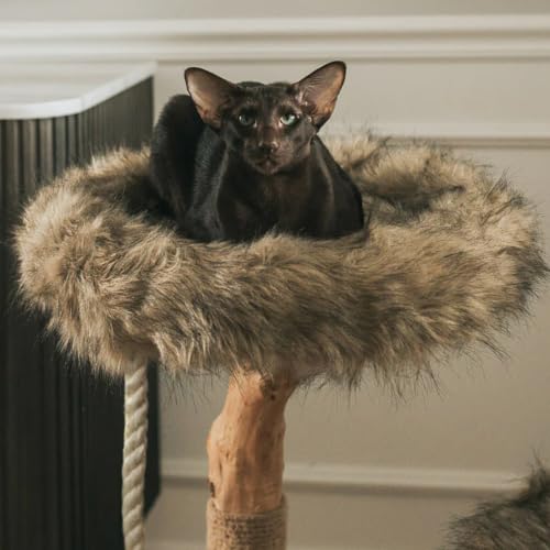 Image of Mau - Modern Wood Cat Tree Tower, Real Branch Scratching Post, Cat Condo