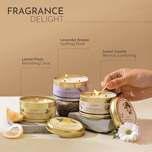 Image of Aromahpure Lavender 3 Wick Candle in Container with Lid Pack of 3 | 85g Each | Burn Time 7 Hours Each | Scented Candle | Relaxing Aromatherapy Candles for Home Decor, Gifting, Bedroom & Spa