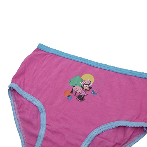 Disney girls Docmcstuffins, Elena, Minnie, Fancy Nancy, Jr. Underwear Multipacks Inn Sizes 2/3t, 4t, 4, 6 and 83