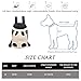HTTDSLF Haustier Rucksack Hund Katzen Tragetasche, Verstellbarer Hunde-Tragerrucksack, Haustier-Tragerucksack, für Klein Mittler Hunde Katzen, M, Beige