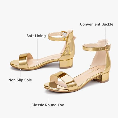 Image of Dufannie Girls Sandals Low Heels Dress Pump Ankle Strap Open Toe Flower Girl Wedding Party for Toddler Little Big Kid