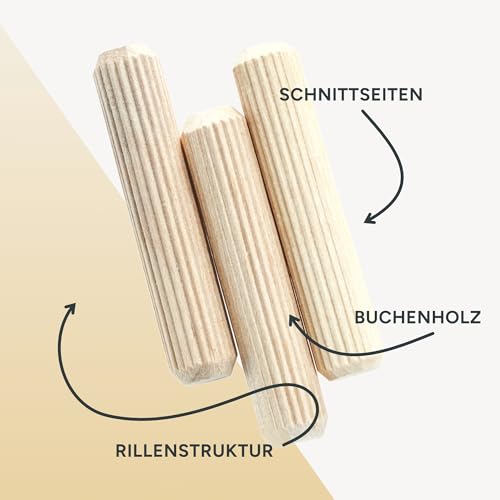 Holzdübel Estika 6 x 30 mm im Set mit 400 Stück