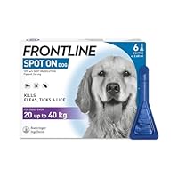FRONTLINE Spot On Flea & Tick Treatment for Large Dog (20-40kg) 6 Pipettes