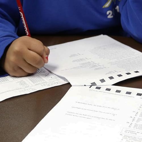 Do standardized tests really reflect students' academic skills?