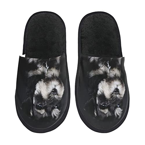 [OSNOTJNS] �~�j�`���A�E�V���i�E�U�[ �q��(1) �X���b�p ���� ���f�B�[�X ������� �����Y �~ ���킢�� ����~�� ���q�p �􂦂� �g�C�� ���q�p ����p �E�� �X���b�p�j�����p �A�j�� �L�����N�^�[ �O�b�Y �v���[���g S52 L