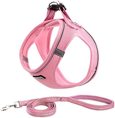 Small Dog Harness No Pull Reflective Comfortable Breathable Harnesses Vest for Puppies, Small Dogs and Cats (XXS, Pink)