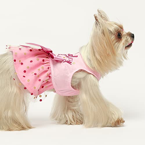 Fitwarm Birthday Girl Dog Tulle Dress, Dog Clothes For Small Dogs Girl, Cat Apparel, Pink, Small #TOP6