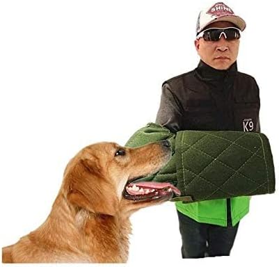 CH New Fashionable k9 Dog bite Protection arm Set for Young Police Dog pet Training Protection.