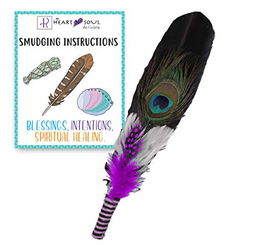 Smudge Feather Energy Cleansing Spiritual Practice Kit