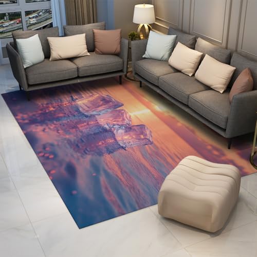 Tapis de sol à poils ras lavable pour un entretien facile du salon