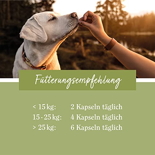 tierlieb Omega-3-6-9-Leinöl-Hunde-Kapseln | 500 mg Leinöl pro Kapsel | 180 Kapseln
