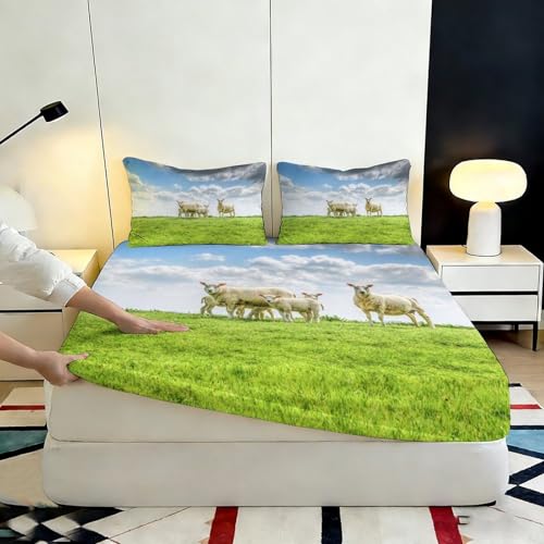 Drap-housse 140x200 cm microfibre imprimé moutons champêtres - 7