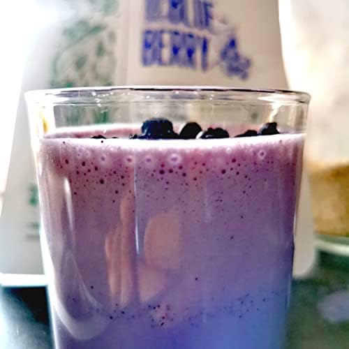 Freeze Dried Blueberry Wild | Freeze Dried Fruit | Mill Dried Blueberries for Vegan Wild Blueberry Powder | Fresh Bilberry Frozen and Fruit Bites Trail Mix with Strawberry Raspberry Smoothie ZingyZoo