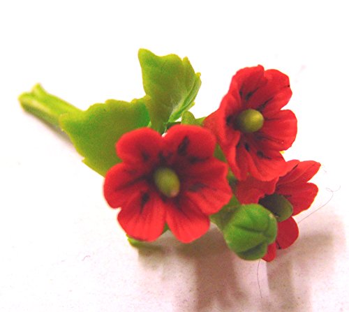 Tumdee Miniatures Casa delle bambole in miniatura