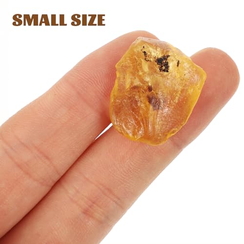 ​​iplusmile 10 Stück Fossilien Sammlung Set: Paläontologie Kit mit Haifischzahn, Ammonit, Trilobit und Orthoceras - Ideal für Dekoration, Bildung und Fossiliensammlung​​