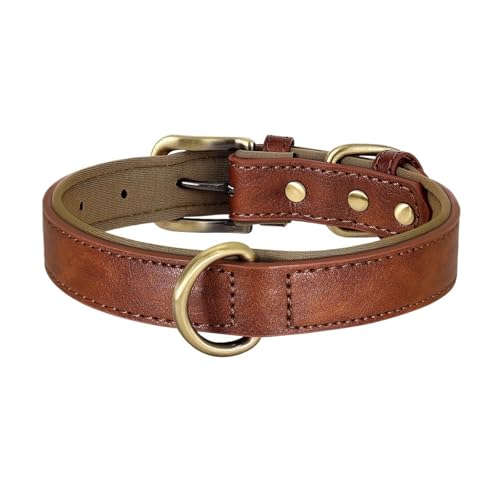 Collier pour chien réglable marron pour animaux de compagnie
