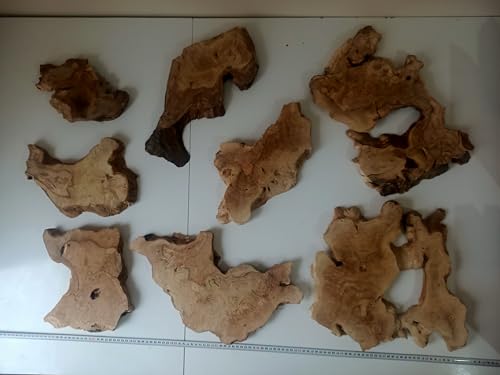 Comparison: Best Epoxy For Live Edge Table 11 Live Edge Olive Slab Set for DIY & Epoxy, Ready to be Resin Table, Cleared Wood Slab, Burl Wood (8)