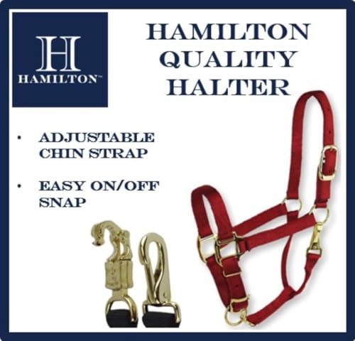 Cabestro de caballo ajustable de nailon de 1 pulgada con broche Hamilton 6