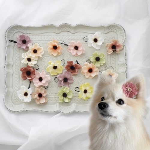 [IJVybg]  { Xq  wAS wAANZT[ ps[ ^ gCv[h ~j`A_bNX  y2Zbg hCAll̃VR hbOwASz ^ ` [NV[eA ^ ybgp 񂿂 M