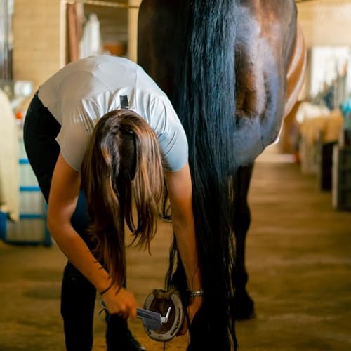 Picareta para cascos de cavalo com escova, palhetas para cascos para cavalos | Escova para limpeza d