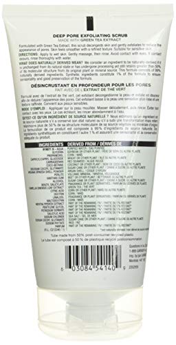 Garnier Skinactive Exfoliating Face Scrub With Green Tea, Oily Skin, 5 Fl. Oz. #TOP2