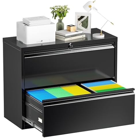 Oakcloud 2 Drawer File Cabinet for Home Office, Filing Cabinet with Lock, Metal Vertical File Storage Cabinet for A4/F4/Letter/Legal Size, Easy Assemble (28“-Black) Cover