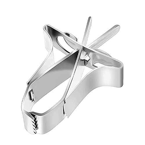 ZRSYH Vogelkäfig Vogelkäfig Feeder Gemüse Feeder Kleintiere Futterhalter Nymphensittich Papagei Edelstahl Feeder Samen Feeder Cover