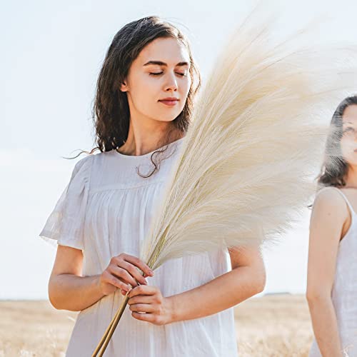 JelyArt Pampasgras Groß 110cm, 3 Stiele Pampasgras Beige, Pampasgras Blumen Trockenblumen Deko Geeignet für Boho Wohnzimmer- Schlafzimmer- und Vasen Deko (Beige) Cover