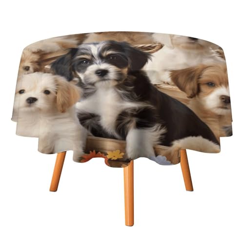 Nappe ronde imprimé chiens 178x178 cm en polyester lavable - 2