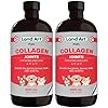Pet Collagen Supplement - Grass Fed Beef Hydrolyzed - Natural Beef Flavour - Joint Care - Mobility & Health - Gluten, GMO & Sugar Free - for Dog & Cats - Made in Canada - 500ml (Pack of 2)