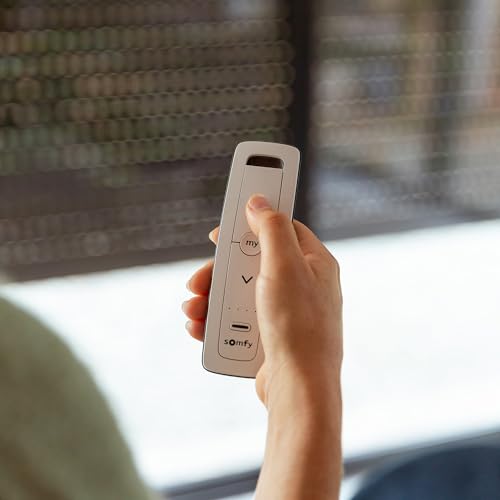 Somfy 1870495 - Fernbedienung für motorisierte Rollläden und Markisen - Situo 5 RTS Pure | Zur Steuerung von 5 Motoren oder 5 Gruppen von RTS-Funkmotoren