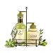 Fruits & Passion Hand Wash Hand Cream Duo Coriander & Olive Tree