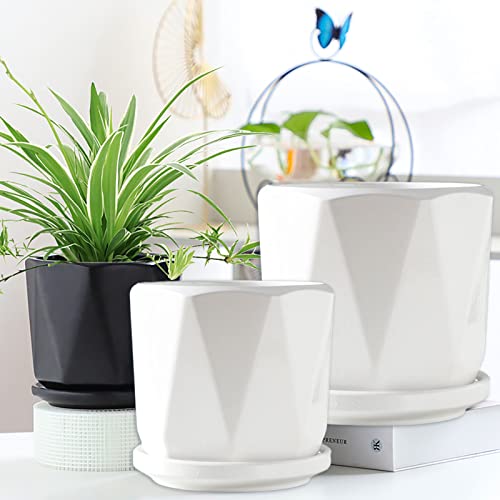 Yesland Ceramic Pots For Indoor Plants, Set Of 3 In Different Sizes Round Plant Pots Flower Pots With Connected Saucer For Garden Indoor Outdoor Plants - White #TOP5
