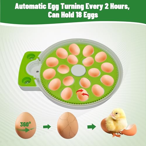 MYMULIKE 18 incubadoras de ovos para incubação, incubadora de ovos com giro automático de ovos e con