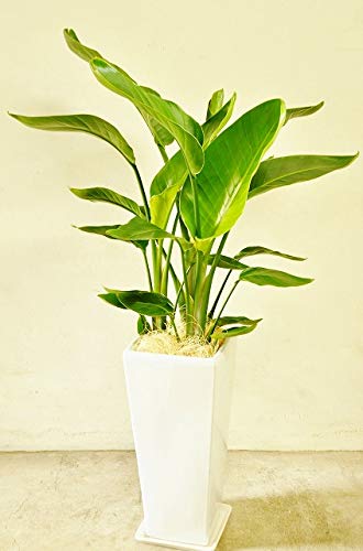 I[KX^WHXNGAO퐻A whY