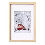 Egofine 12x18 Poster Frame Solid Wood Frame with Plexiglass Matted for 8.5x11 for Wall Mounting...