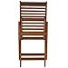 Sunnydaze Meranti Wood Outdoor Folding Patio Chairs - Set of 2 - Teak Oil Finish